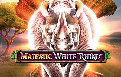 Majestic White Rhino